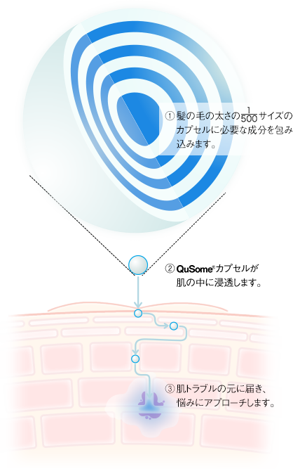 ①髪の毛の太さの500分の1サイズのカプセルに必要な成分を包み込みます。②QuSomeカプセルが肌の中に浸透します。③肌のトラブルもとに届き、悩みにアプローチします。