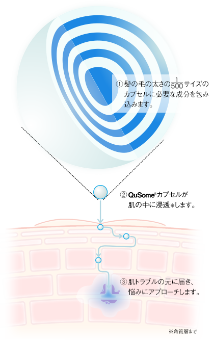 ①髪の毛の太さの500分の1サイズのカプセルに必要な成分を包み込みます。②QuSomeカプセルが肌の中に浸透します。③肌のトラブルもとに届き、悩みにアプローチします。